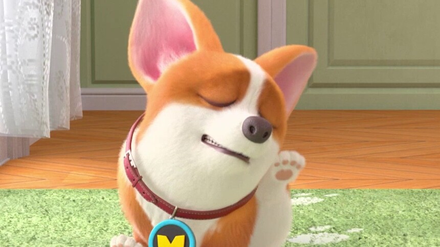 飞狗moco之小柯基的脑洞时刻第4集