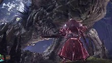 破坏部位