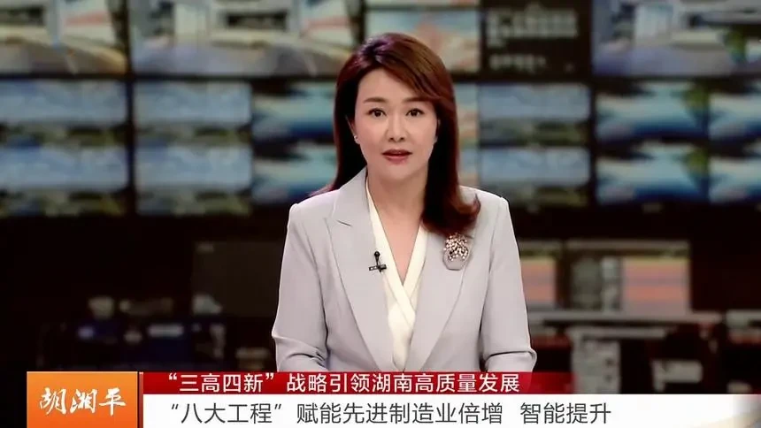 牢记嘱托 湖南行动 胡湘平:"三高四新"战略引领湖南高质量发展-新闻