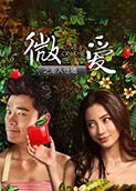 微爱之渐入佳境