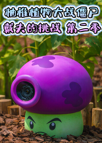柚稚植物大战僵尸 戴夫的挑战 第二季