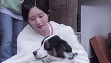 赵露思对吴磊说我家狗看不见你