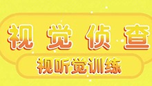 视觉侦查