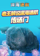 老王解说深海迷航 传送门
