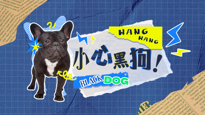 第23集 “Black dog”竟然不是黑狗？