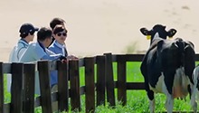 黄磊何炅彭彭十万头牛里找苏苏