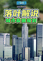 落叶解说都市天际线 城市发展规划