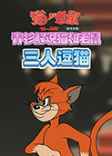 青衫解说猫和老鼠 三人逗猫