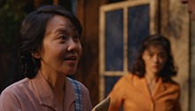 黄玲小妙招！小院开启“蛇瓜副本”
