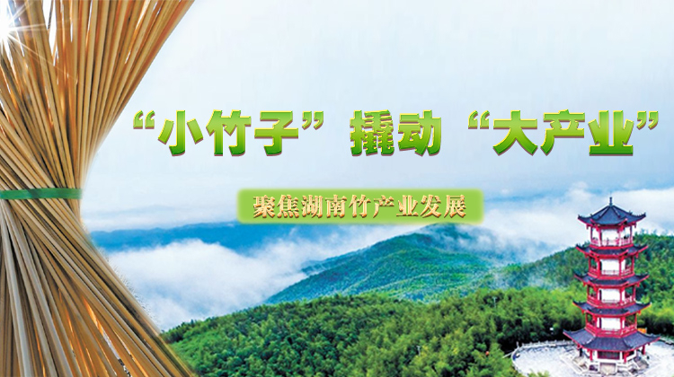 “小竹子”撬动“大产业”——聚焦湖南竹产业发展