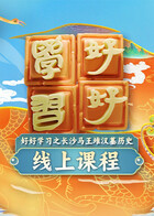 好好学习之长沙马王堆汉墓历史线上课程