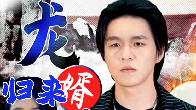 龙婿归来