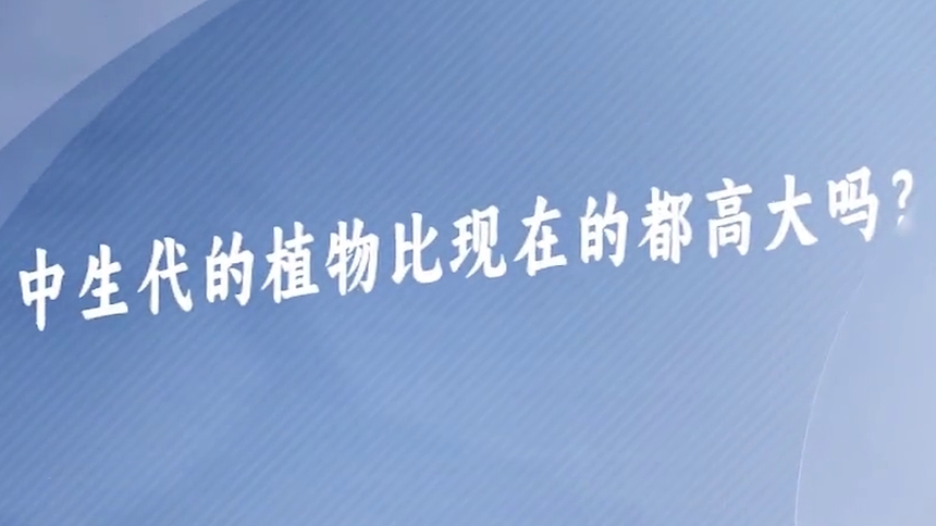 第74集 中生代的植物比现在的都高大吗？