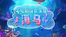 不可思议的生物 海马