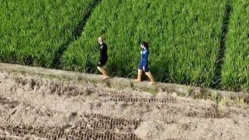 “地气”究竟是什么？