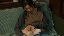 张子枫呈现宠物主真挚的爱 