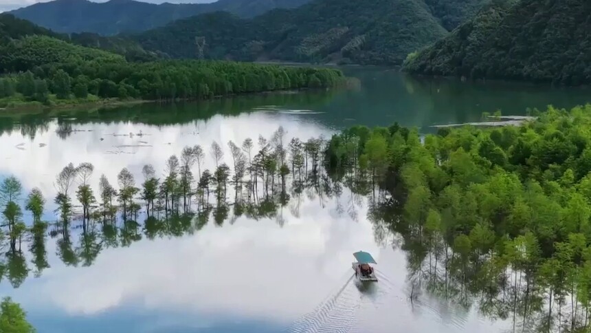 泛舟碧水杉林间 乐享初夏好时光