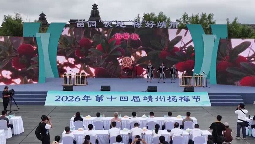杨梅红了，日子甜了 一口酸甜入夏 靖州杨梅节好玩又出圈
