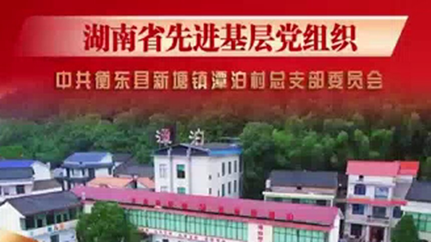 衡阳市“两优一先”典型事迹展播 湖南省先进基层党组织 中共衡东县新塘镇潭泊村总支部委员会