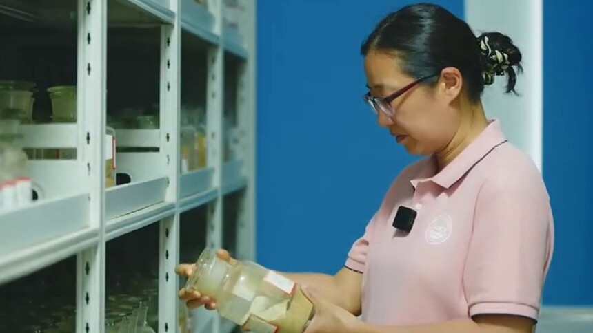 一克黄金换不来一克土