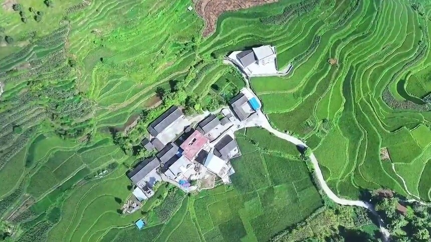 贵州石阡：晨雾漫稻田 秋日田园美