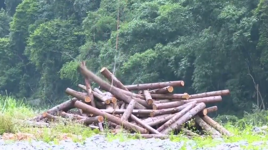 贵州三都：无人机吊木下山 精细加工赋能山地林业