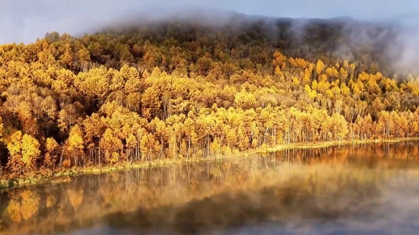 内蒙古阿尔山：多彩林海映山河