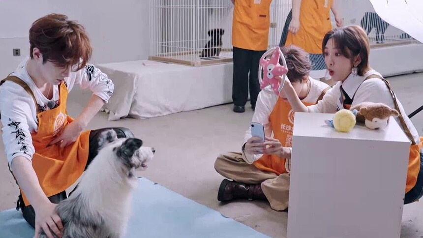 唐艺昕周翊然哄狗拍照有的是力气